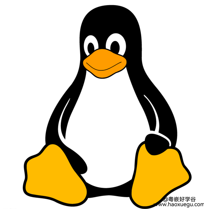 嵌入式教程：Linux入门需要注意哪些方面