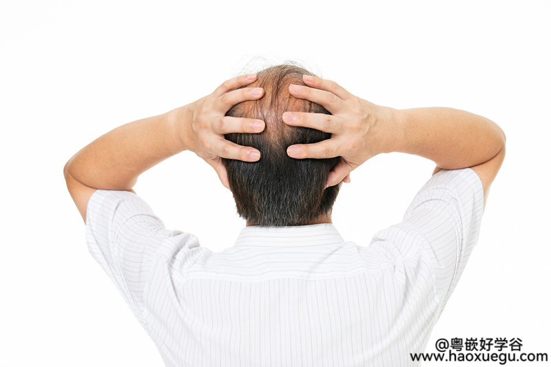 学Java教程出身的资深程序员被公司优化了